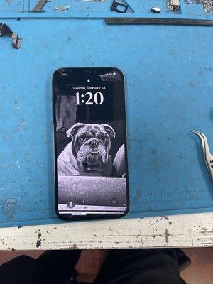 Repaired iPhone 12 Pro Max