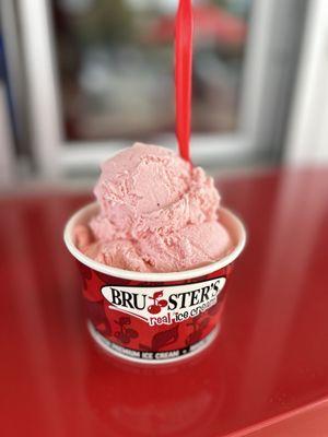 Bruster's Real Ice Cream