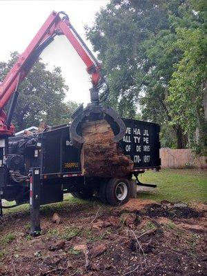 Tree Services