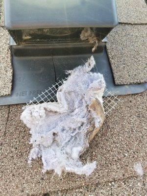 Dryer vent cleaning Fort worth