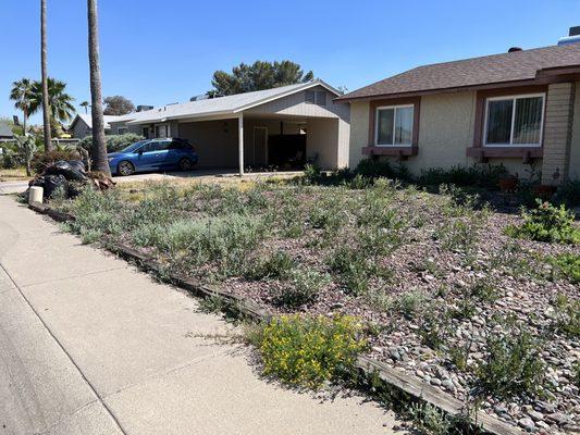 Front yard before