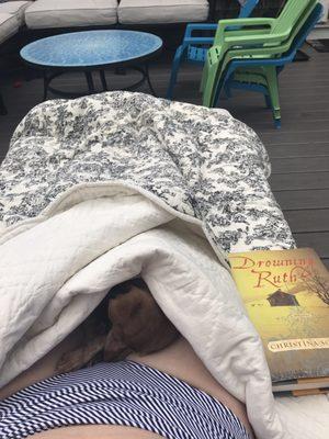 Found this quilt and the book as well. (The dog was already mine )