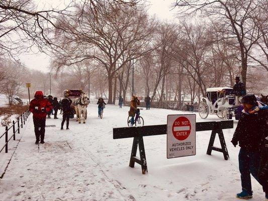 #tbt #winter #carriage #rides #nyc