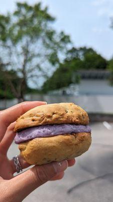 whoopie pie: Lemon Zucchini Cake with Blueberry filling