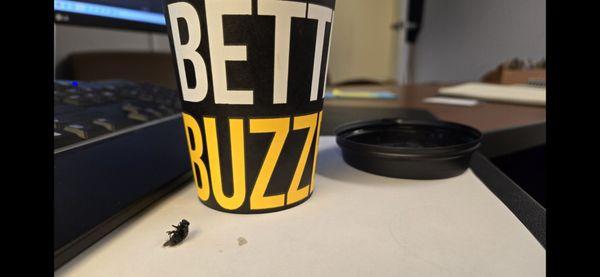 "Buzzed" coffee...