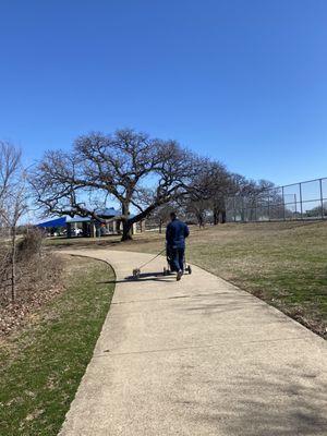 Walking trail