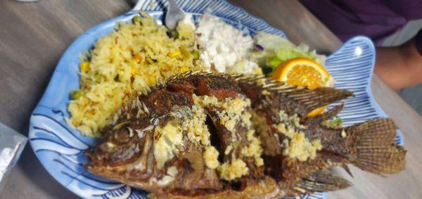 Snapper with rice and salad