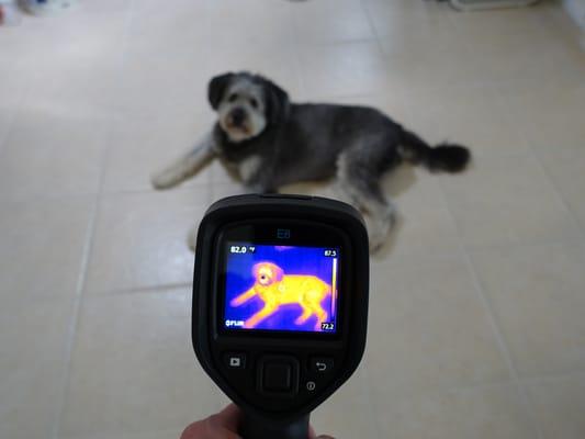 Infrared FLIR camera technology