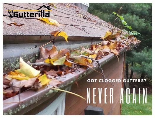 Got clogged gutters? Never again with Gutterilla's Austin Replacement Gutters.