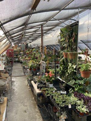 Greenhouse