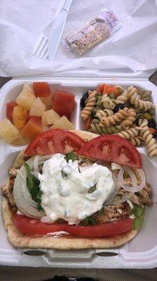 Chicken Souvlaki Plate