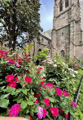 Garden and tower (May '22)