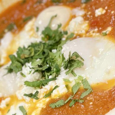 Shakshuka (Morracan poached eggs in spicy tomato sauce with coriander leaves)