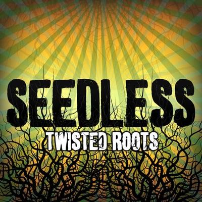 Local OC Artist, Seedless, produced and recorded at 17th St.