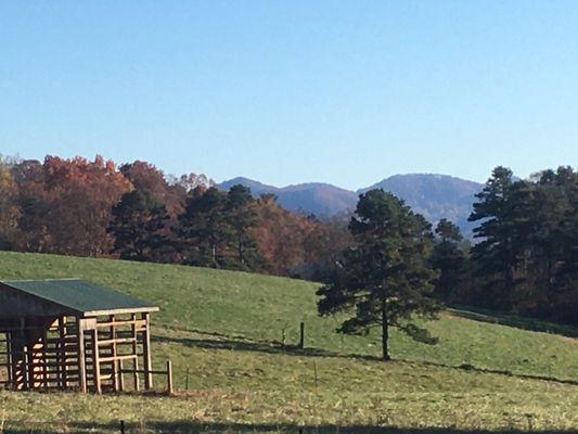 Farmland behind the store