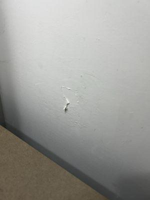 Mold/ damaged wall they painted over in a "clean room" while checking in