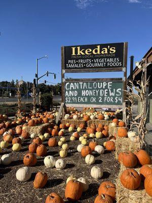 Ikedas California Country Market