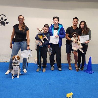 Basic Obedience and Manners Grads!
 Orion Dog Training San Jose