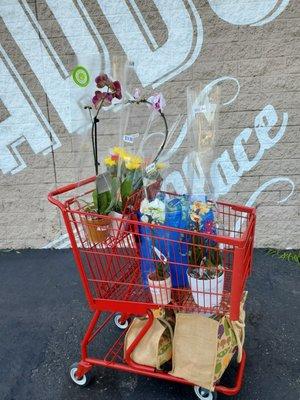 nice cart! holds many plants and bags without crushing your goods