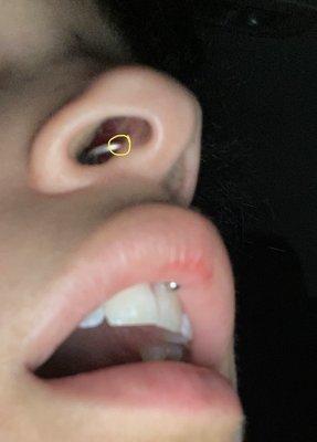 Circled is where the piercing is pierced.