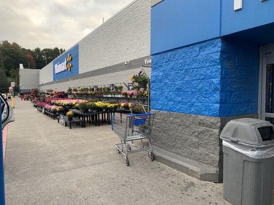 Flowerpots for sale at entrance