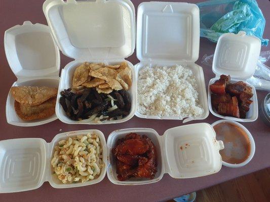 An assortment. One beef, one chicken empanada. Fried beef, fried pork, bbq chicken wings, and a side of pasta salad.