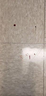 Blood trails that no one has cleaned up in well over an hour.