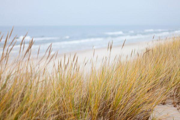 Dune Park at New Smyrna Beach, Florida