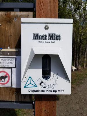 Three of these are conveniently installed at the beginning of the trail.