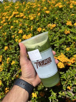 Matcha Iced Tea