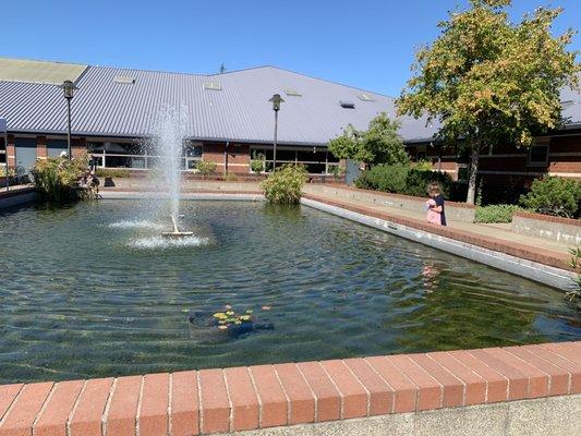 Outdoor koi pond