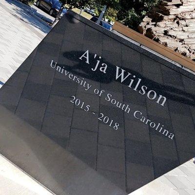 A'ja Wilson staute