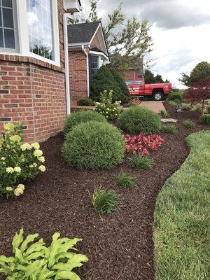 We use high quality mulches and Professional techniques to achieve a manicured look to your plant beds.