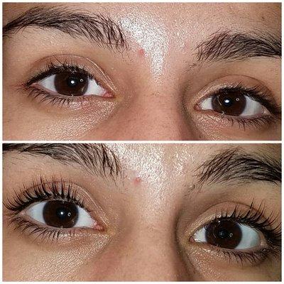 LASH LIFT