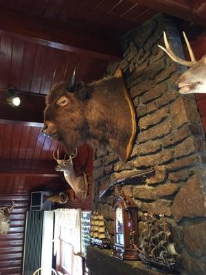 The Buffalo at NIC-L-INN