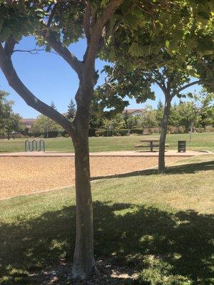 Benches, grass....