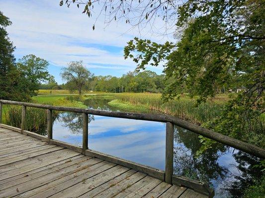 Bridge over a stream on the property