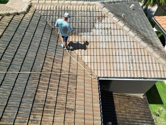 Dan cleaning the grime and dirt from this roof using our premium soft wash equipment.