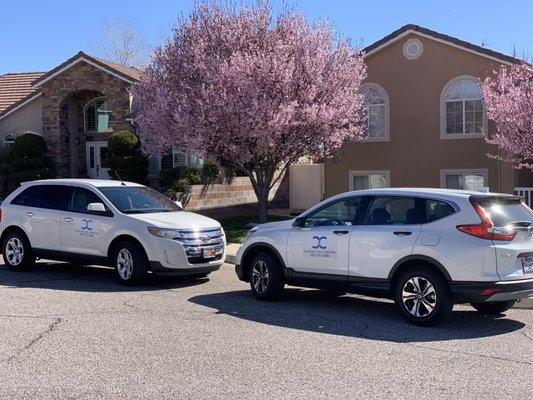 New Taxis to the fleet!! Always clean and Comfortable.