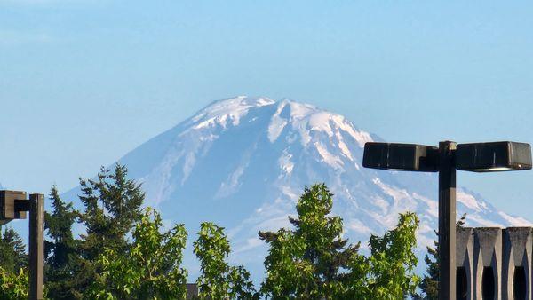 Nice view of Mt Rainier from the parking lot (8/11/23)