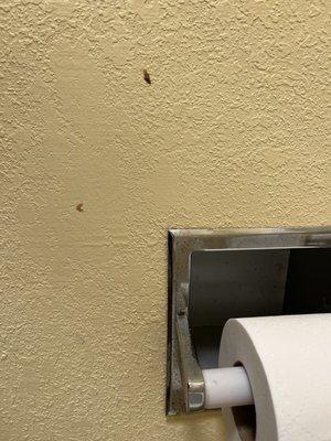 Those would be boogers smeared on the wall.