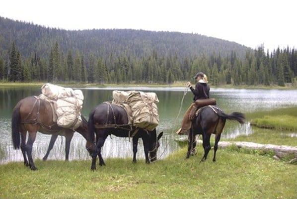 Over night trips for hikers; let the pack animals carry your camp.