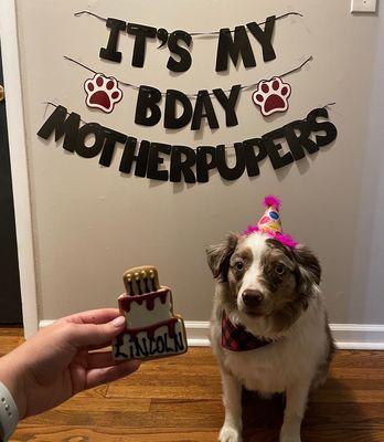 Personalized cookie & party hat from three dog barkery!