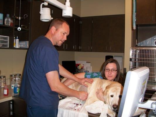 Caring Treatment at VCA Oso Creek Animal Hospital and Emergency Center