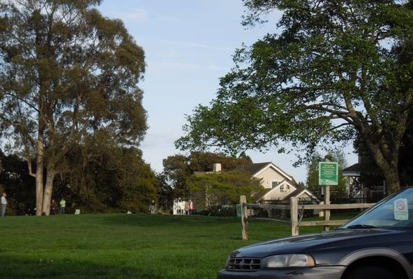 Frederick Street Dog Park. NO FENCE. LOTS of dogs at 5:30pm today. Picture does not do justice.