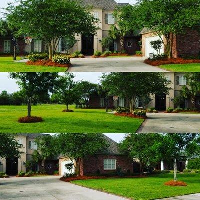 Lawn care & landscape maintenance. 
 Newly installed colored pinestraw.