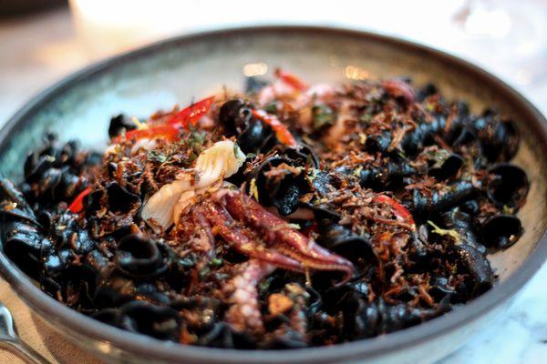 CAMPANELLE NERO WITH SQUID