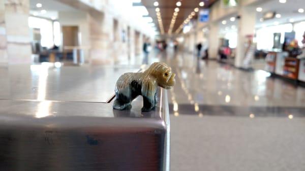 Gorilla goes to the airport ;-)