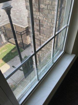 Broken window, glass on the floor, on move in day