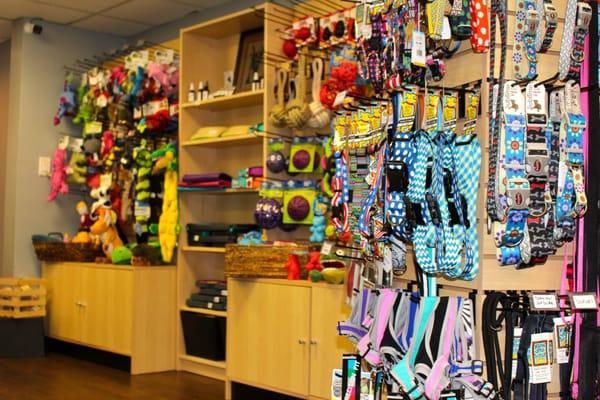 Leashes, harnesses and collars. Dog toys, bowls, etc.